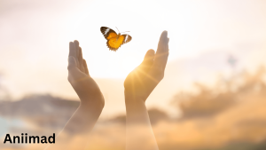 Spiritual Meaning of Butterfly